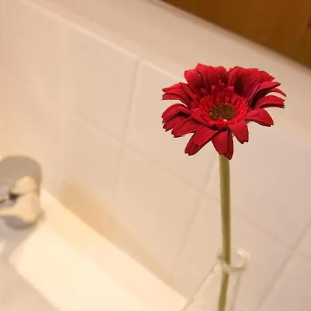 Rural Montseny Apartment *