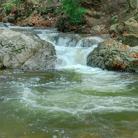 Apartment Rural Montseny *